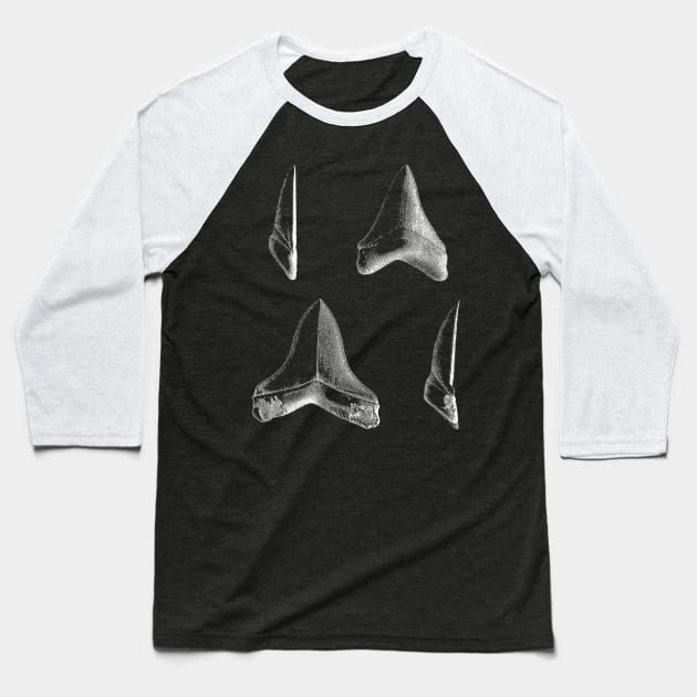 Shark Teeth | Great White Megalodon Fossils Baseball T-Shirt by encycloart